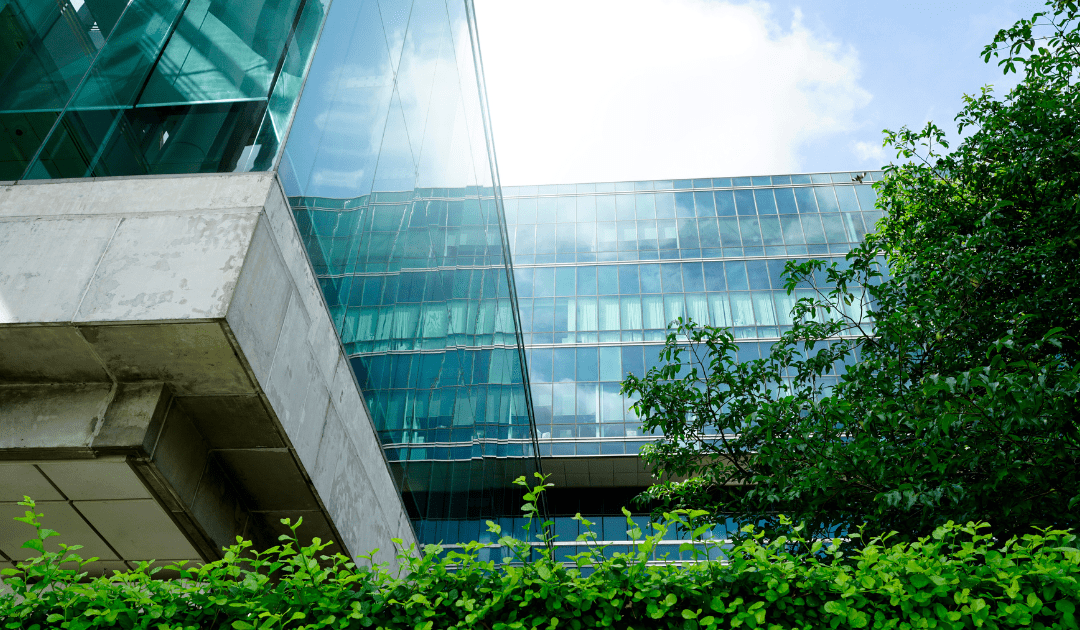 Glass offices surrounded by trees and foliage