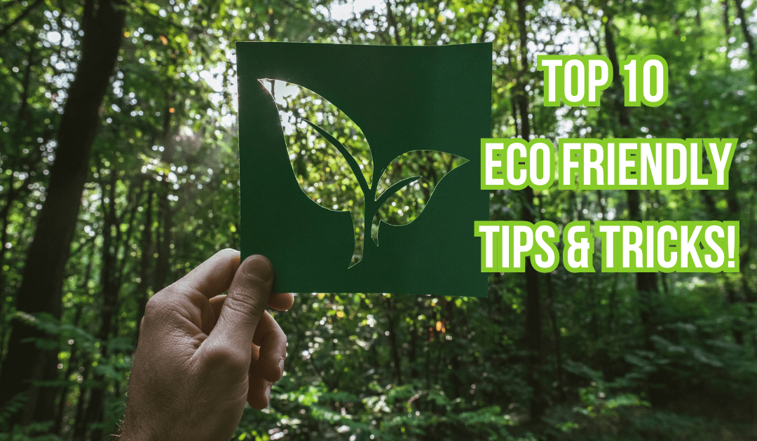 Holding up a stencil of leaves in a forest with the text "top 10 eco friendly tips & tricks"